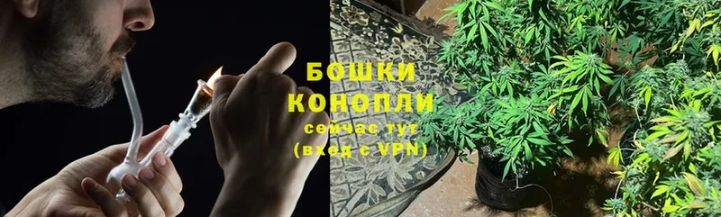 Конопля тримм  Каневская 